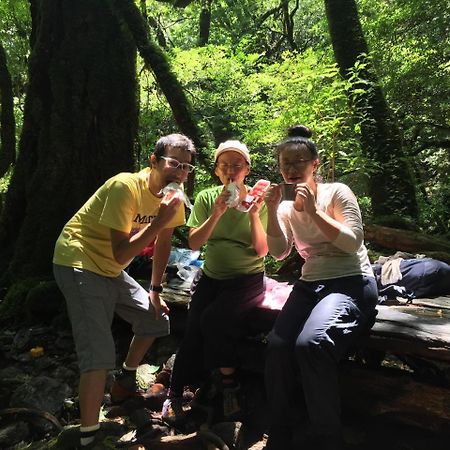 Yakushima Youth Hostel ภายนอก รูปภาพ